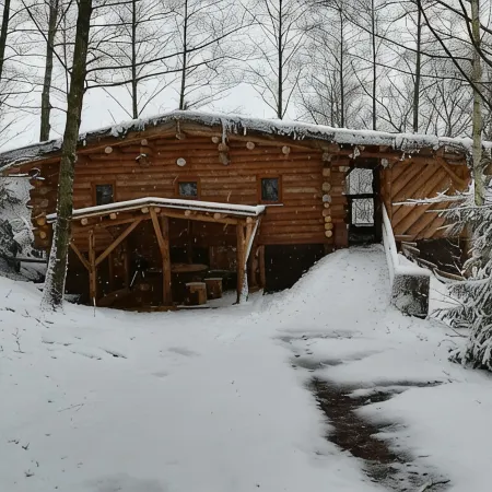 Unusual, secluded log cabin in the Vosges with luxury spa