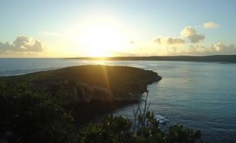 a serene landscape of a cliff overlooking the ocean with the sun setting in the background at Country Cove