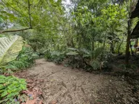 La Gamba Rainforest Lodge Hotels in Golfito