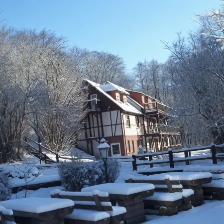 Hotel Boltenmühle
