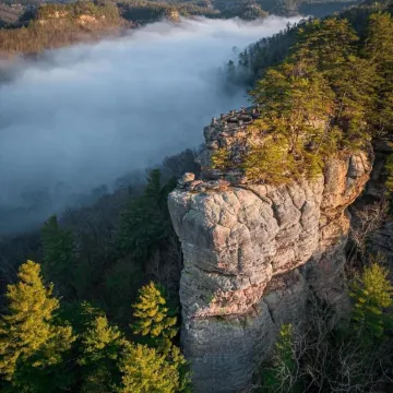 Shady Oaks Cabin 4 in Red River Gorge• Pet Friendly• Hi Speed Internet 🛜