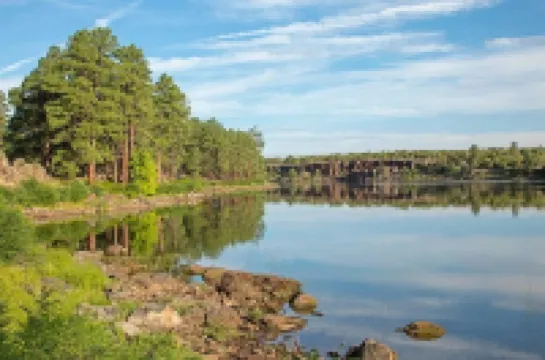 Show Low Cottage Hideaway-Cozy Cabin w/Fireplace