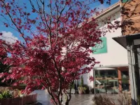 Soraluze Hotela Hotels in Debagoiena