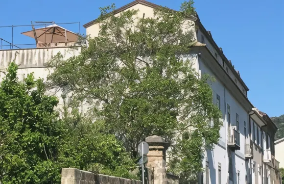 蒙塔爾巴諾住宿加早餐旅館