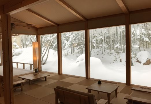 1. 모즈모 어덜트 ..