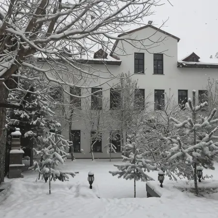Cheltikov Hotel