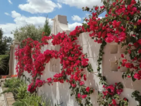 Flos Guest House Hotels in Lucera