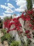 Flos Guest House Hotels in Castelluccio Valmaggiore