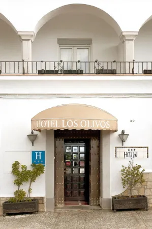 Hotel Los Olivos Отели в г. Аркос-де-ла-Фронтера