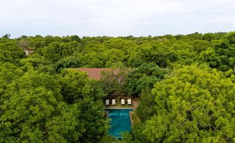 Nyne Hotels Mayur Lodge - Yala