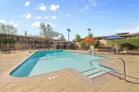 Best Western Petaluma Inn - Swimmingpools