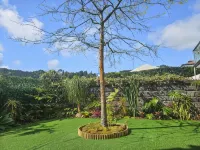 Hotel Vale Verde Hotels in Furnas