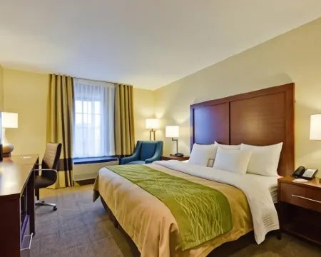 Comfort Inn & Suites Caldwell Hotels in Olive Township