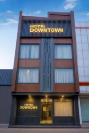 Hotel Downtown