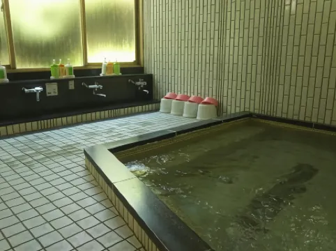 Koyasan Shukubo Sainanin