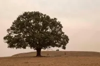 Baghvan Pench National Park - A Taj Safari Lodge - parking