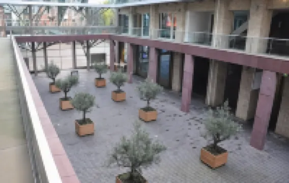Hotel Mosaic City Centre Hotels near Moco Museum