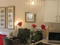 Navona Constantia Guest Cottage Hotels in Constantia