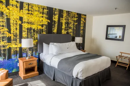 L'Auberge du Lac St-Pierre Отели рядом с достопримечательностью «Парк Сарсель»