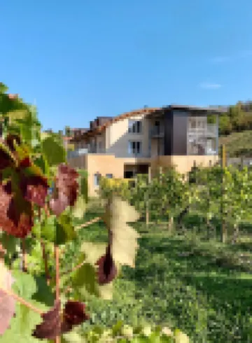 Dellavalle  Guest  House Hotels in 