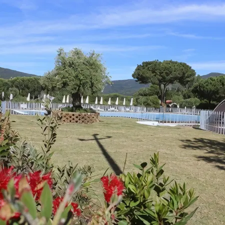 Camping Lacona Pineta
