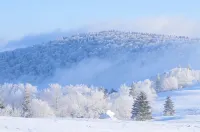Snow Valley Hongbo Inn - 마운틴 뷰