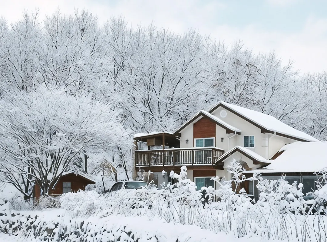 Yongin Zelkova Pension - Daejeon