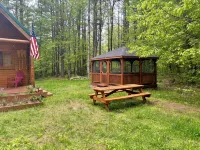 Serene Cottage Escape in Wells, NY ADK Peace, Pines & Possibility. Dogs Welcome! - Wifi