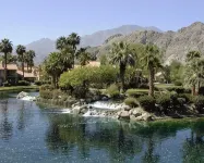 Magical Waterfall & Mountain Views, Steps to Pool -Pets ok, Wifi, Permit 062281 - 2 stjerner