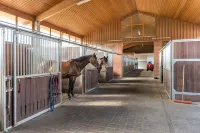 Vacation m. Horse u. Dog at the Kellerwald / Edersee National Park, riding on ponies - Homestays