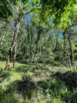 Forest home and outdoor adventure paradise! 15 minutes to Autzen Stadium.