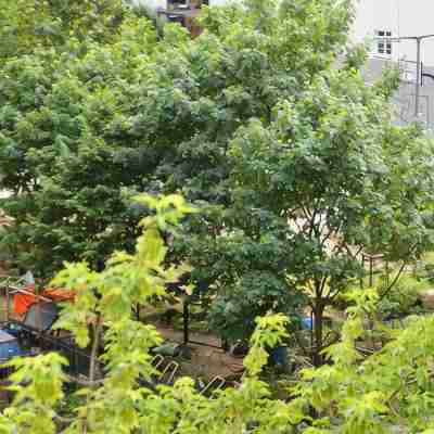 Charming apartment near Kudamm Others