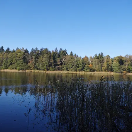 NEW - Cottage on the lake only 750m forest path to Libbesickesee