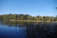 NEW - Cottage on the lake only 750m forest path to Libbesickesee - Homestays