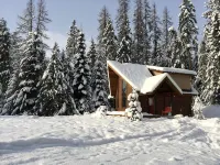 Cozy Retreat Chalet with Loft Bedroom & Fireplace – Near Nelson & Ski Hills - Hytter