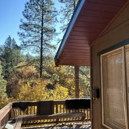 Cozy Cabin in Heart of Tonto Forest