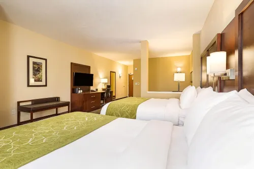 Comfort Suites Greenville South - 2-Star