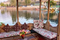 White House Group of Houseboats - 山景