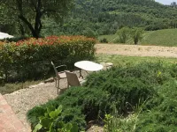 Collelungo -  Holiday Villas