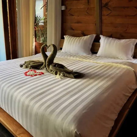 Maniva Particael Resort