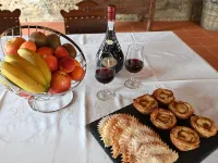 Old house restored in Douro, 5 km from Vila Real. Comfort and tranquility. Hotels in Vila Real