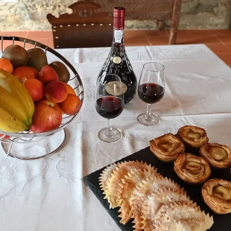 Old house restored in Douro, 5 km from Vila Real. Comfort and tranquility.