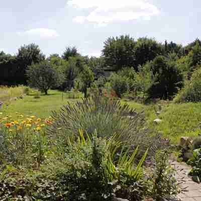 Garden house: Beautiful vacation home for up to 14 guests with a huge garden Hotel Exterior
