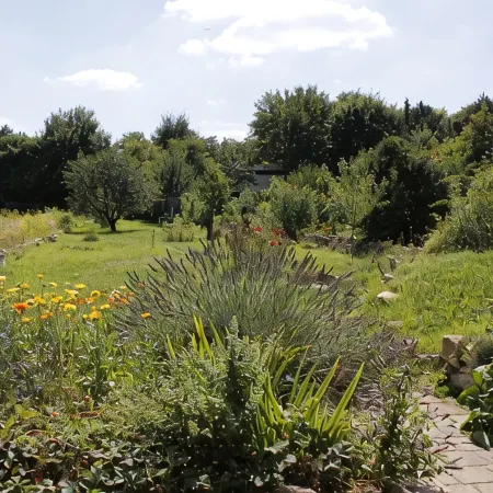 Garden house: Beautiful vacation home for up to 14 guests with a huge garden