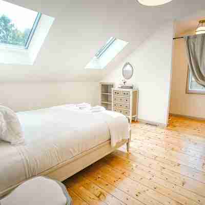 Luxe Cape Cod Farmhouse. Walk to Ellis Landing Beach! Rooms