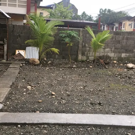 Pines Mansion 2 Homestay for Rent in Cash with 30 Percent Advance Payment to Confirm
