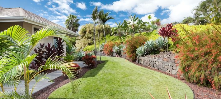 ★NEW Remodel Heated Infinity PoolSpa, OceanView, Gated Community, Fruit Orchard★ Ξενοδοχεία στην πόλη Holualoa