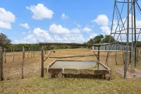 Farmhouse on 8 acres - 4-Star