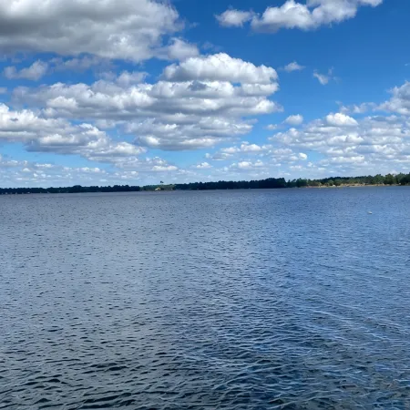 Beautiful Home on Kingsley Lake with Private Dock, 4 Kayaks