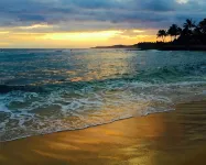 Steps Away From Poipu Beach * A/C * Newly Remodeled * Family Friendly - نادي رياضي